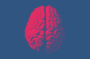 Monochrome drawing brain vintage style