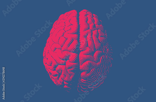 Fotografía Monochrome drawing brain vintage style