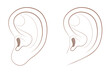 Free earlobe and attached earlobe in comparison. Different appearance of the human ear because of recessive gene frequency. Isolated comic vector illustration on white background.