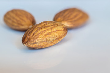 almond nut close up