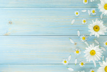 White Daisies And Garden Flowers On A Light Blue Worn Wooden Table. The Flowers Are Arranged Side, Empty Space Left On The Other Side.