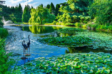 Bird Statues Lily Pads Van Dusen Garden Vancouver British Columbia Canada