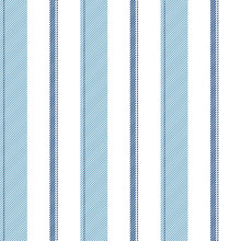 Blue Striped Classic Texture Seamless Pattern