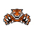 orange tiger sport gaming logo vector illustration template with white background