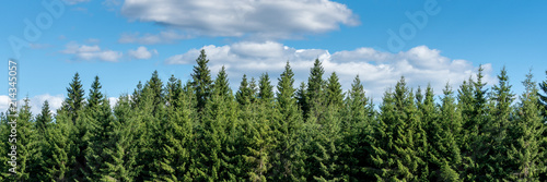 Canvas Print Wald und blauer Himmel Panorama