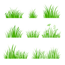 Green Grass Set. Silhouette Of Plants. Cartoon Style Vector Illustration