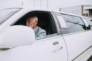 Wall Mural - Senior good looking limousine driver driving white luxury limousine.