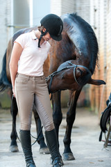 Wall Mural - Funny curious chestnut horse asking for treats from coach