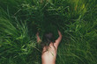 © Viktor Koldunov - Young brunette woman enjoying the lying on green fresh grass facedown. Top view.
