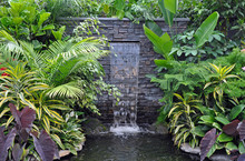 Tropical Waterfall And Pond