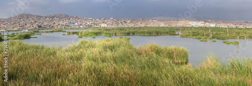 Foto LIMA, PERU: Wetlands of Villa, In chorrillos district.
