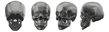 3d Rendering Illustration Of Skull