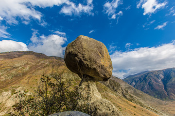 Stone mushroom