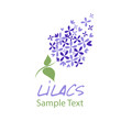 Lilac flower. Logo design. Text hand drawn.