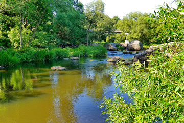 The river flowing between the green beaches with huge boulders lying in the middle of it and a bridge that is seen far away among the branches of trees.