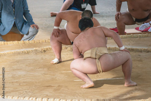 Dekoracja na wymiar  uczen-sumo
