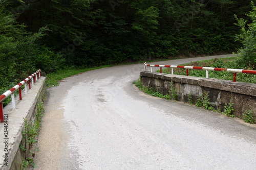 Fotografia  A narrow mountain road with a bridge. Green Forest.