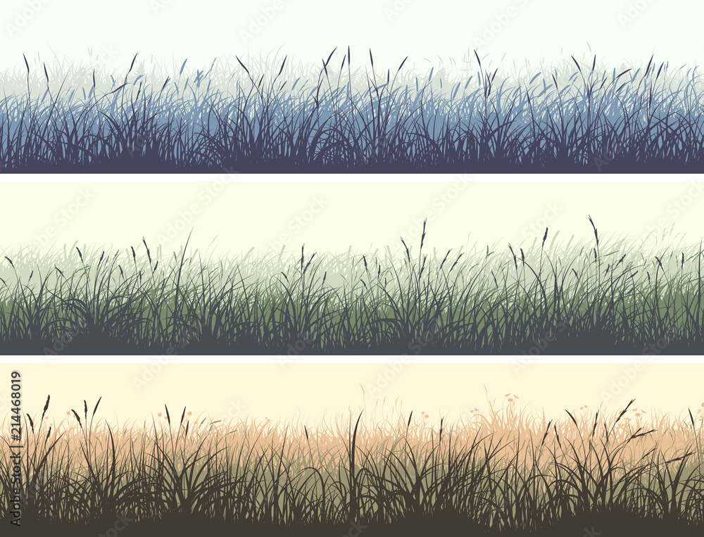 Horizontal color banners of meadow with high grass. - obrazy, fototapety, plakaty 