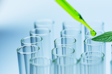 Wall Mural - pipette over test tube dropping sample chemical into sample herbal plaint , biotechnoloy research co