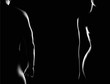 © eugenepartyzan - Couple. Female and Male Nude Silhouettes