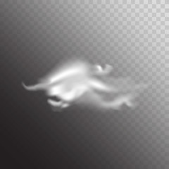 Wall Mural - Cloud. Realistic cloud icon isolated on white. Overlay. Vector