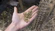 a sample of clay sand on the hand - a drills and a hole in the background