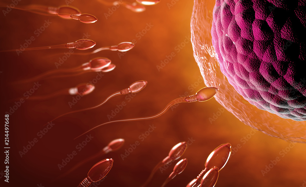 3d illustration of transparent sperm cells swimming towards egg cell - obrazy, fototapety, plakaty 