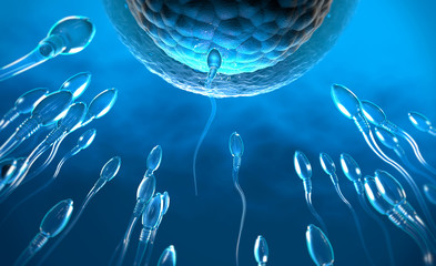 3d illustration of transparent sperm cells swimming towards egg cell