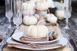 © Stephanie Frey - Place setting on a rustic farmhouse country table with mini white pumpkins, and crystal glasses for Thanksgiving Day or Halloween.