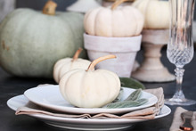 Thanksgiving Day Or Halloween Place Setting With Heirloom Mini White And Grey Pumpkins.