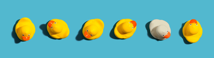 one out unique rubber duck concept on a blue background