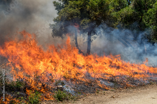 Zdjęcie XXL Strażak walczący z ogniem