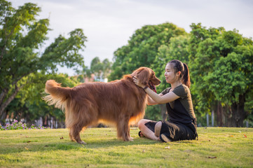 Poster - Golden retriever and girls playing in the park