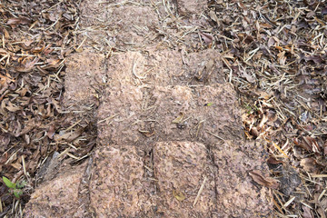 Steps down from the Indian red stone among the withered leaves in the forest, close-up. Front view from above to the path