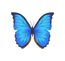 Wall Mural - Butterfly of Blue Color Poster Vector Illustration