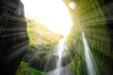 Wall Mural - Madakaripura Waterfall with sunlight effect is the tallest waterfall in deep forest in Java and the second tallest waterfall in Indonesia