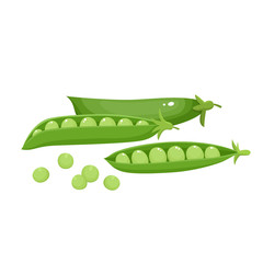 Wall Mural - Bright vector collection of colorful peas isolated on white