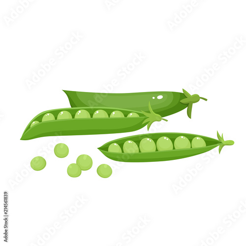 Fotomural Bright vector collection of colorful peas isolated on white