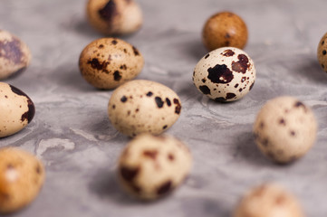 Canvas Print - Scattered lot of spotted fresh quail eggs on old broken worn gray cement floor