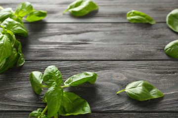 Fresh basil on wooden background