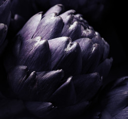 Closeup of a fresh artichoke