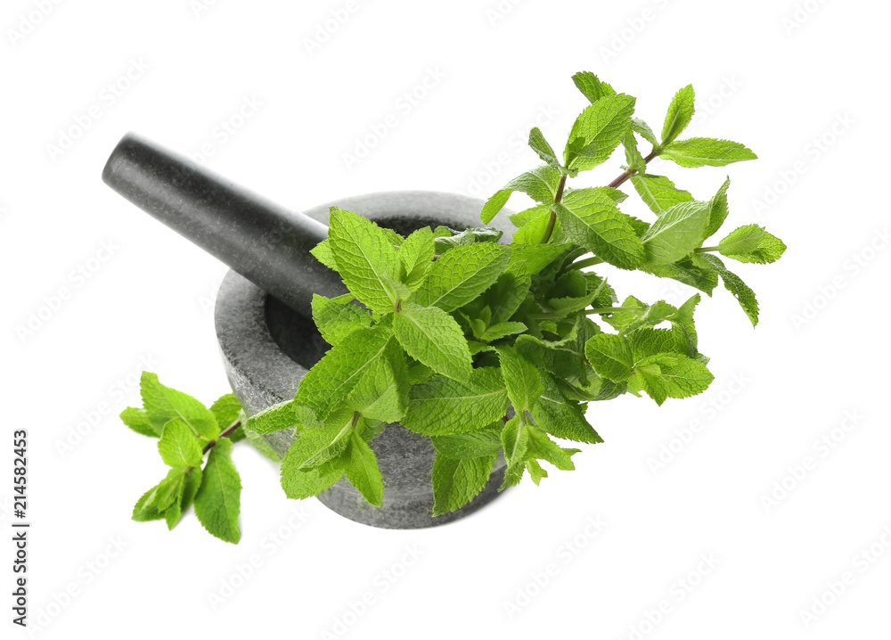 Mortar with fresh mint and pestle on white background