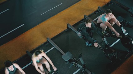 Wall Mural - Crossfit. 4K Footage Group Of Athletic Adults Men And Women