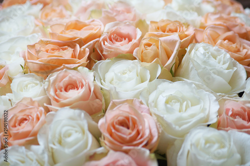 Stylish Photo Of Light Pink And White Roses Background Beautiful