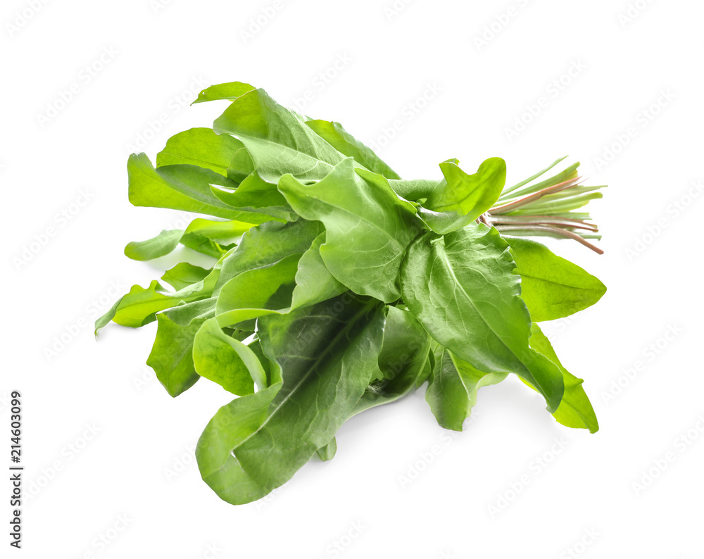 Bundle of fresh sorrel on white background