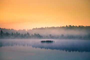 Wall Mural - a beautiful, colorful landscape of a misty swamp during the sunrise. atmospheric, tranquil wetland s