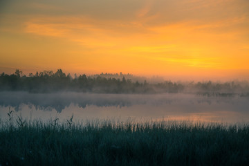 Wall Mural - a beautiful, colorful landscape of a misty swamp during the sunrise. atmospheric, tranquil wetland s