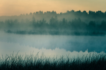Wall Mural - a beautiful, colorful landscape of a misty swamp during the sunrise. atmospheric, tranquil wetland s