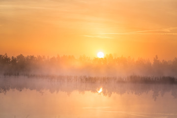 Wall Mural - a beautiful, colorful landscape of a misty swamp during the sunrise. atmospheric, tranquil wetland s