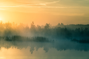 Wall Mural - a beautiful, colorful landscape of a misty swamp during the sunrise. atmospheric, tranquil wetland s